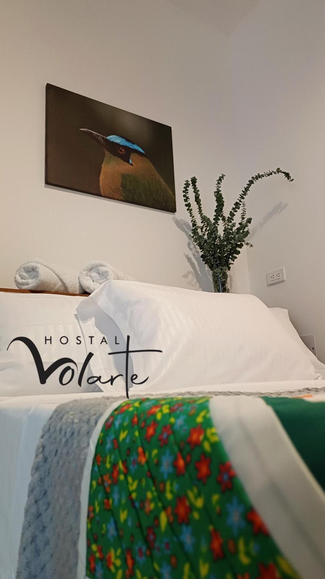 Volarte Hostal Jardin Exterior foto
