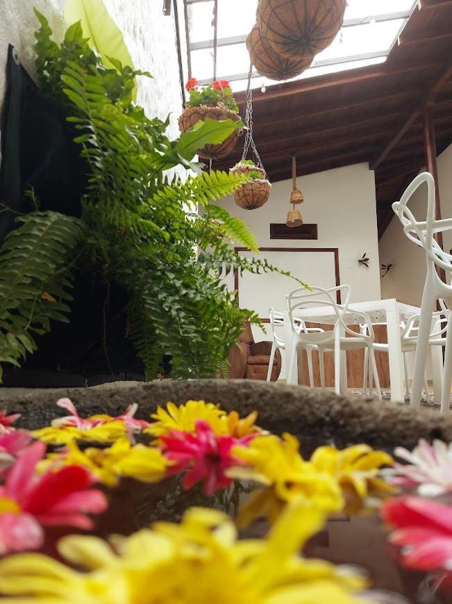 Volarte Hostal Jardin Exterior foto